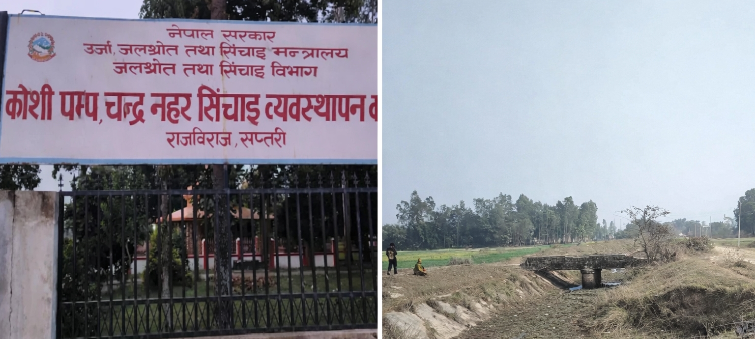 नहरमा पानी ल्याउने उम्मेदवारलाई मात्र भोट दिने किसानको अडान